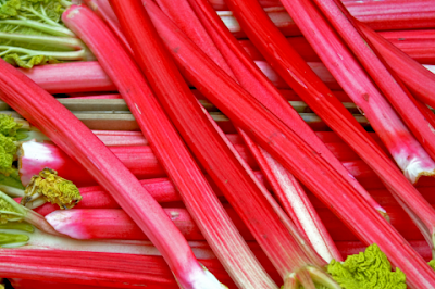 A bunch of bright red rhubarb stalks